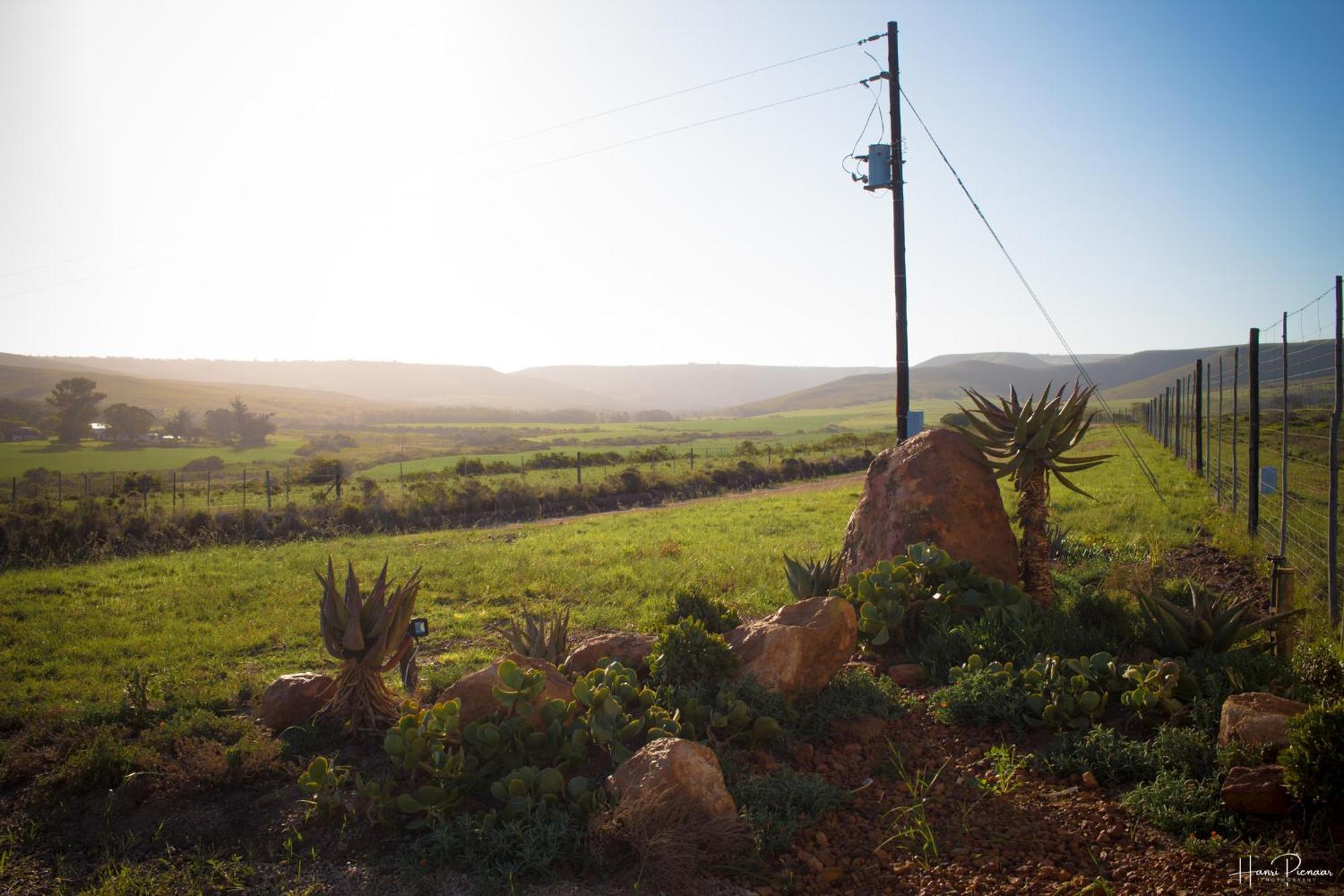 Hartenbos Private Game Lodge Kültér fotó