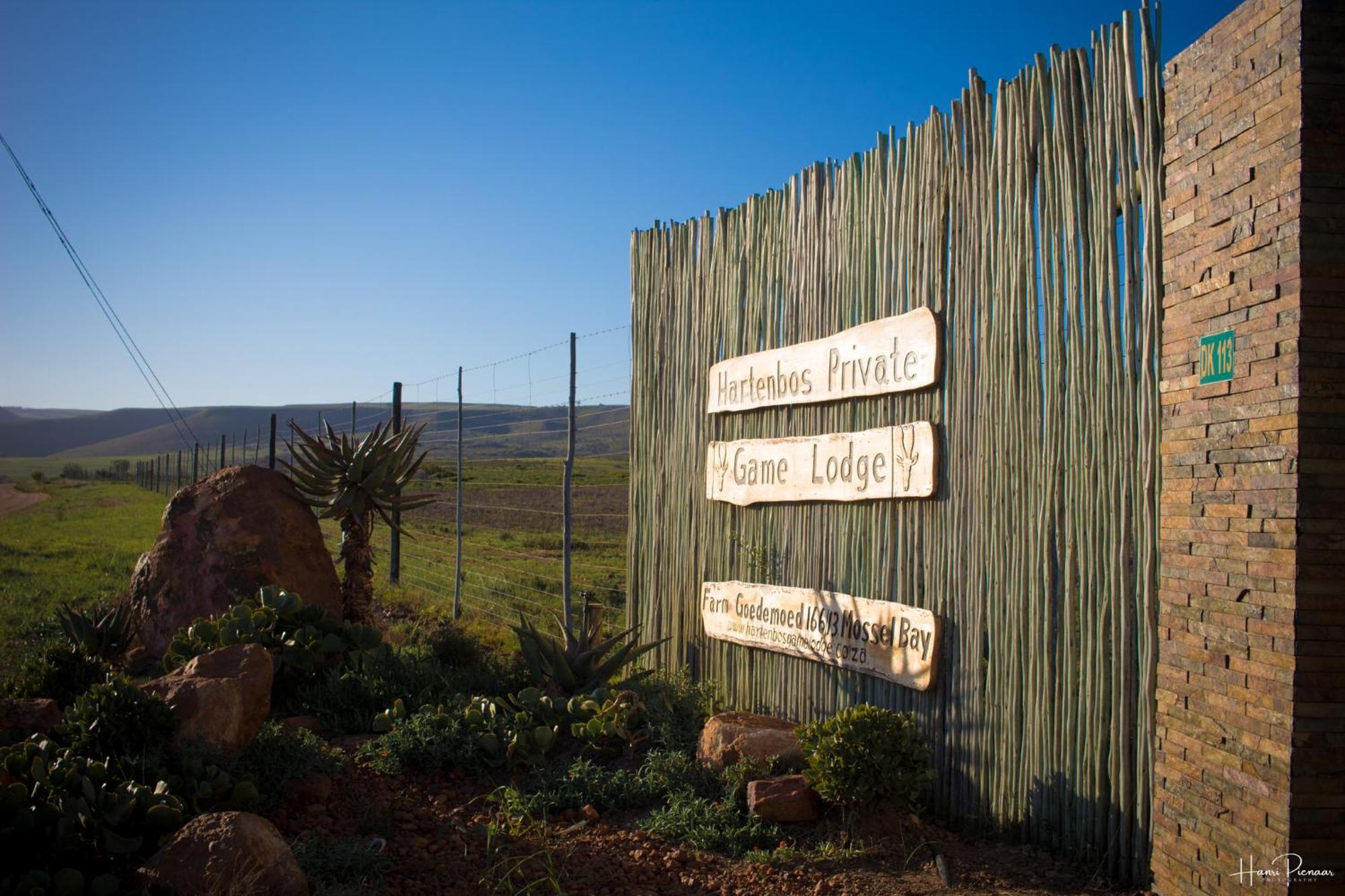 Hartenbos Private Game Lodge Kültér fotó