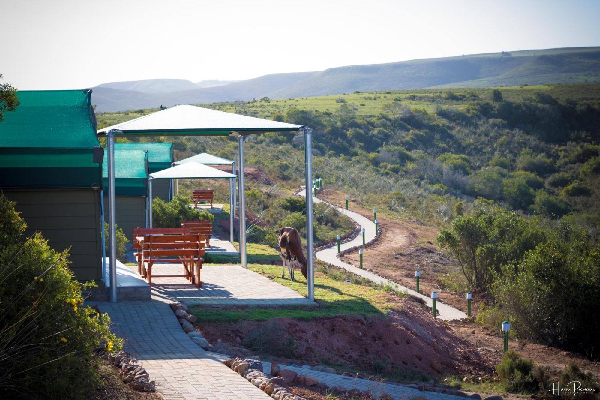 Hartenbos Private Game Lodge Kültér fotó